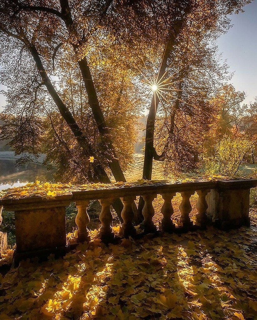 И флаги с ясеней сорвёт