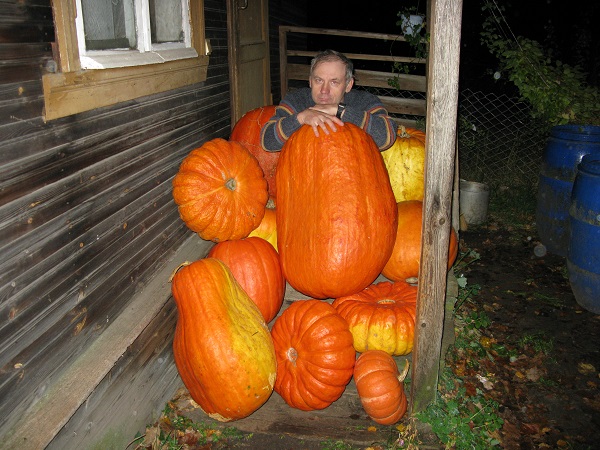 2024г. Поэт во снах гуляет в полночь. 1140