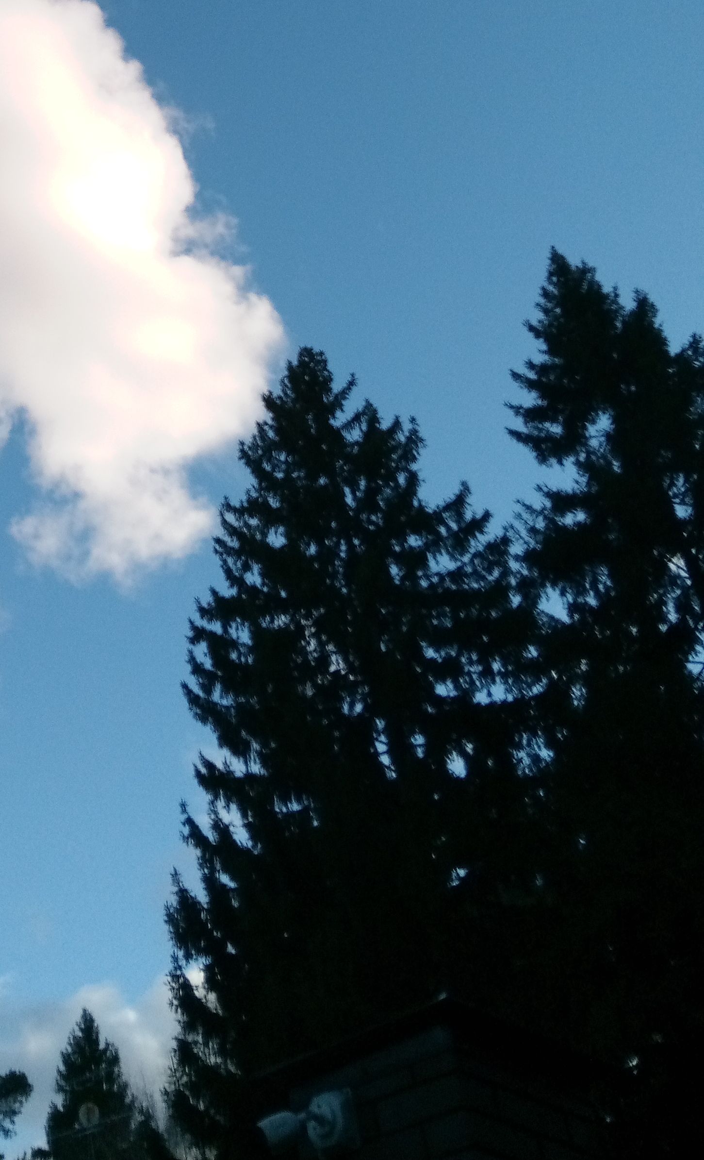 Крылья севера