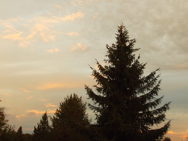 Огонёк небольшой в чистом эфире...