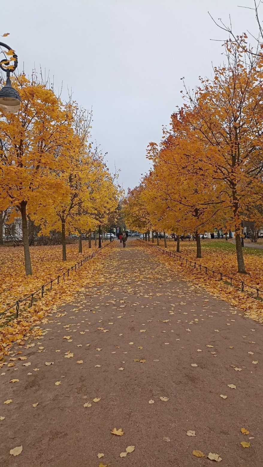 Красивая осень