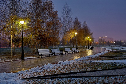 Ноябрь 2024 г