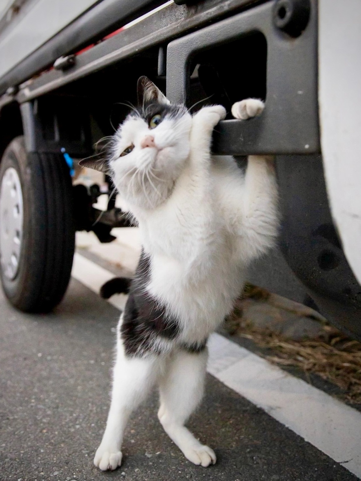 Сложный размер - тренажёр для мозгов