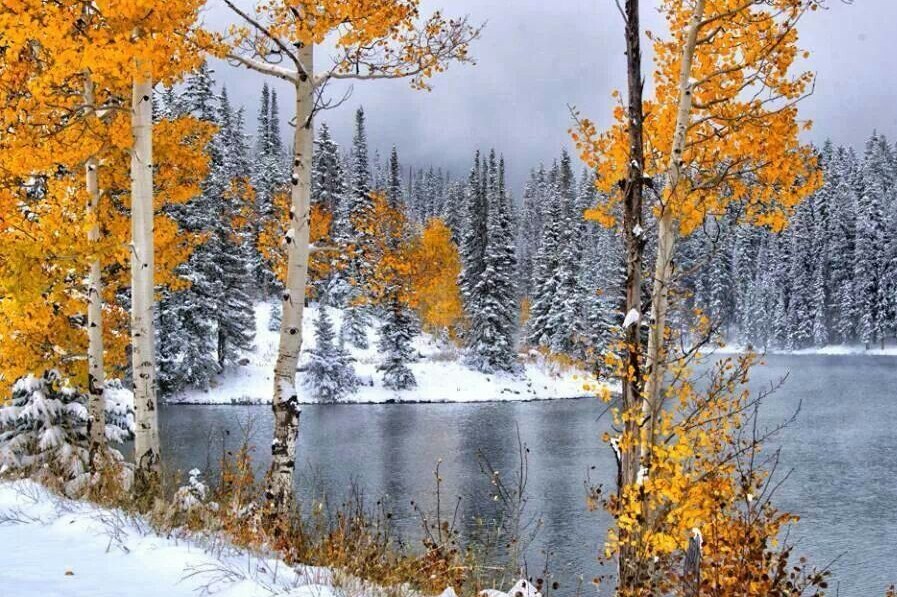 Ноябрьский снег