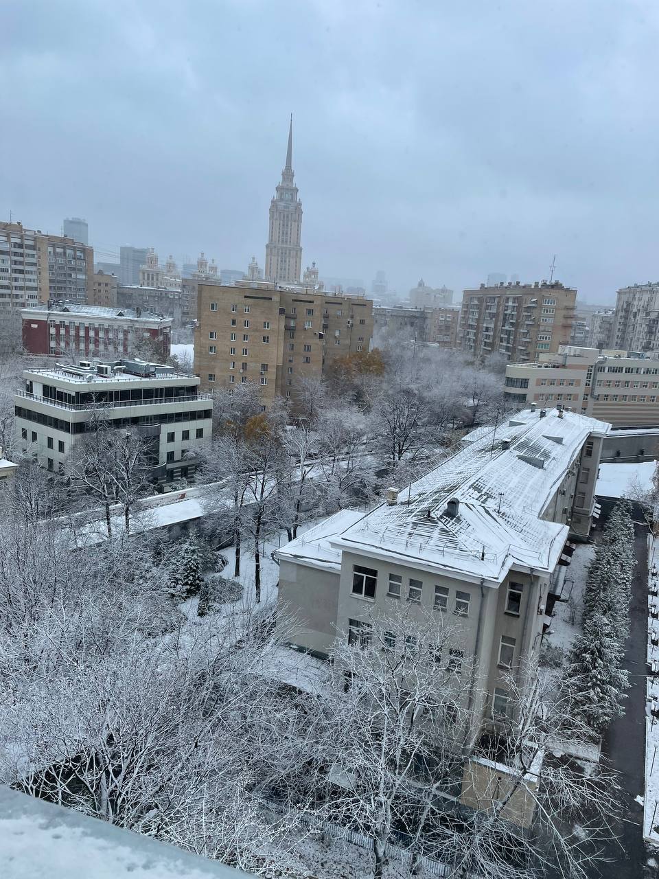 Чувство зимы