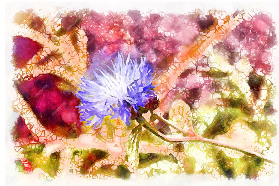 Лаконичность