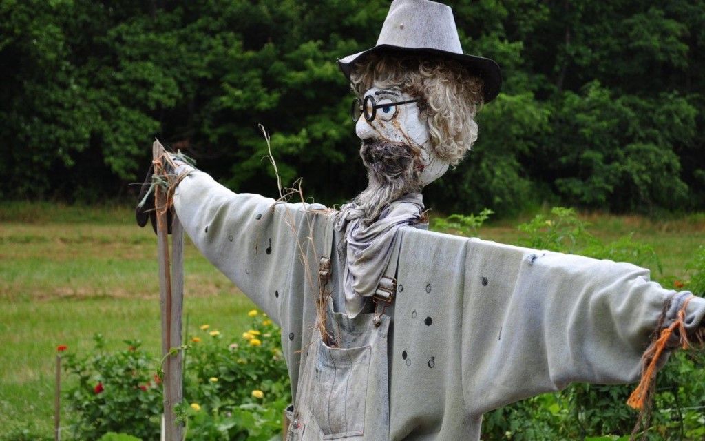 Пришелец в огороде