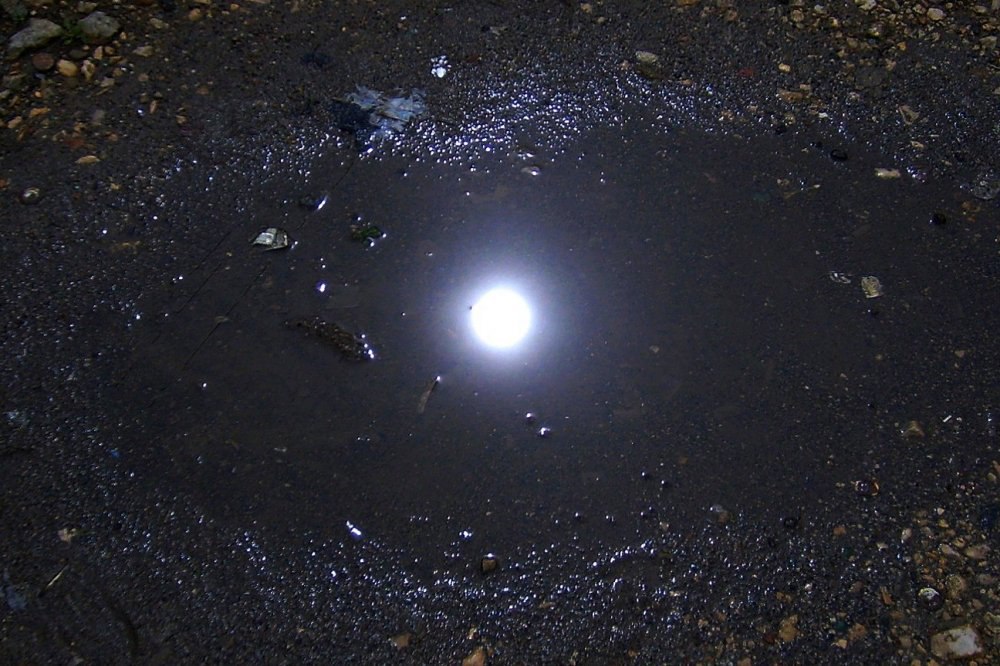 Красота в глазах смотрящего. Акростих