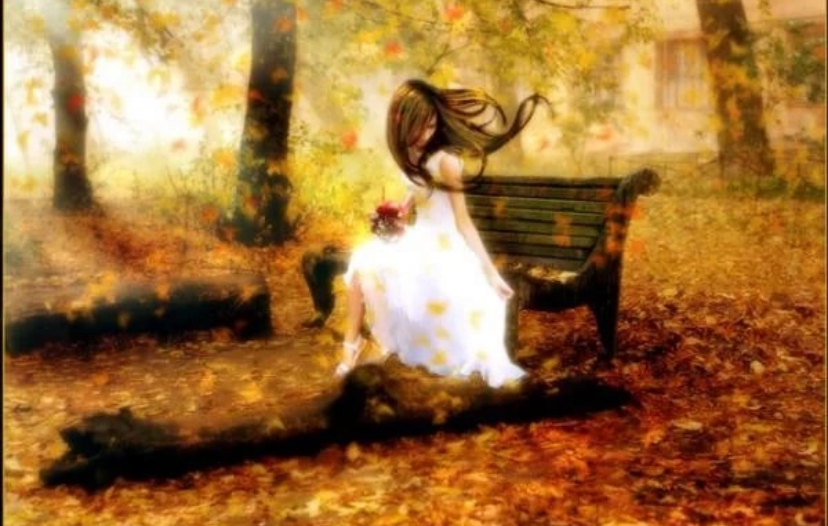 Как кротко лес на осень смотрит