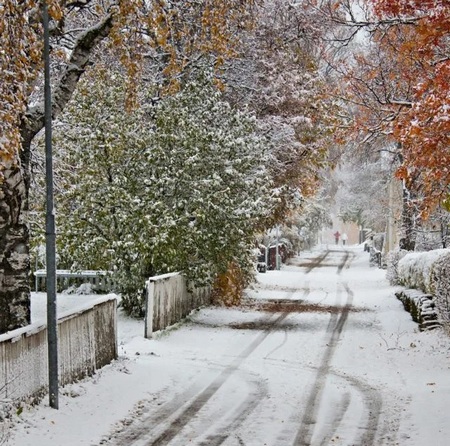 К нам на денёк пришла зима