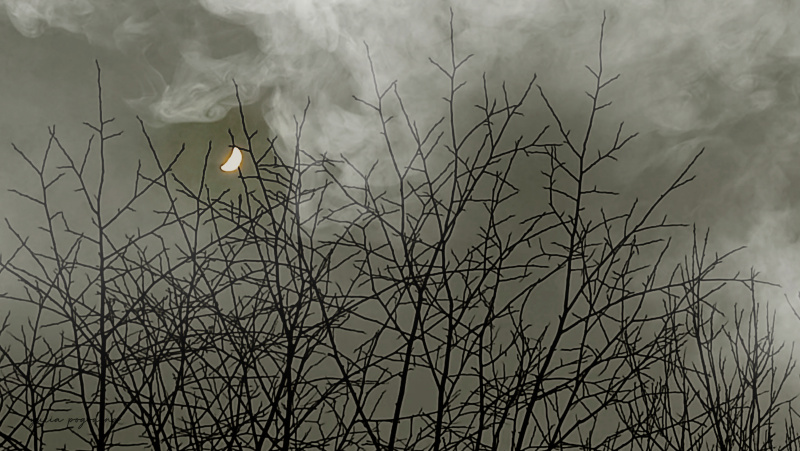 Вот и осени словно не было