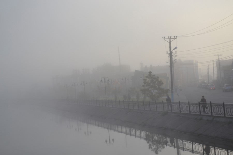 Молоко ноябрьского дня