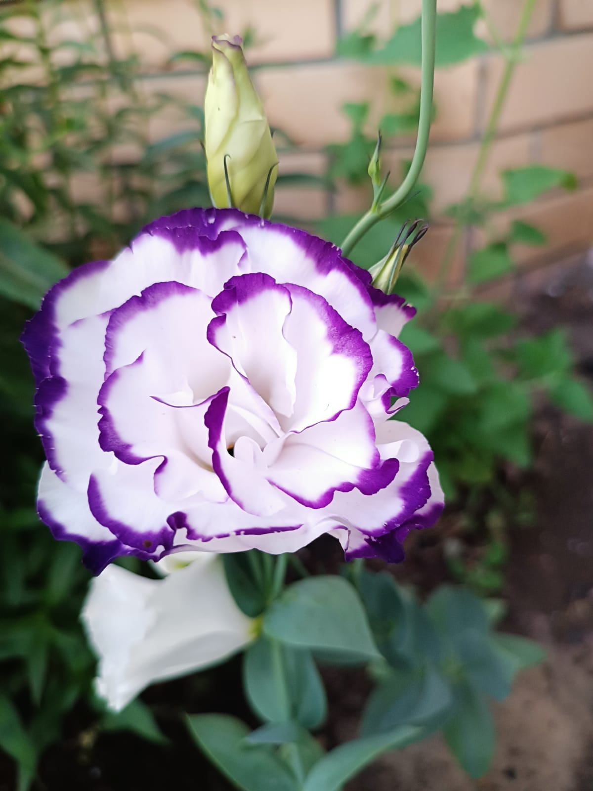 А со мною рядом...