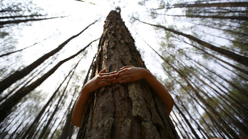 В объятиях робких...