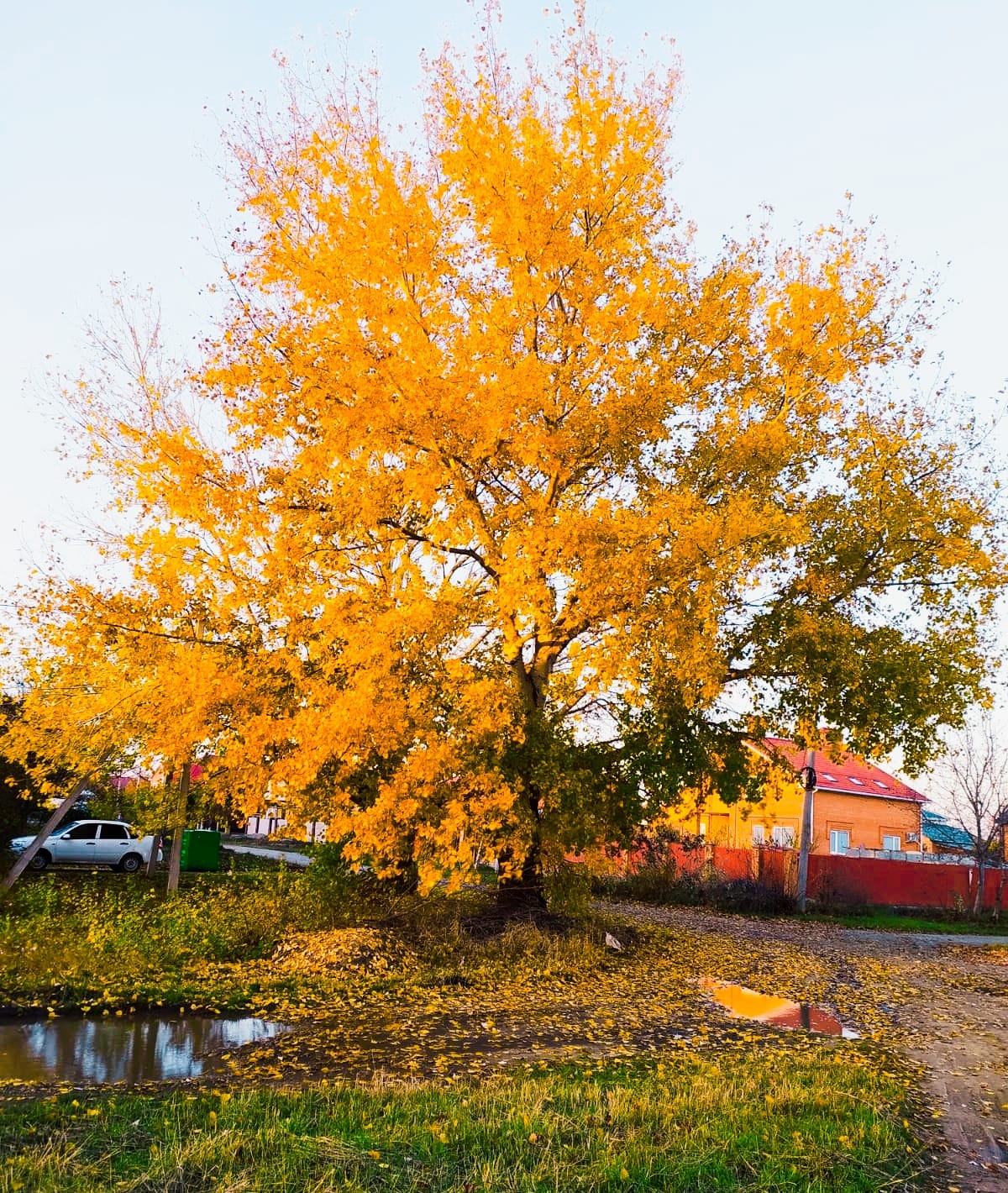 Осеннее томление души...