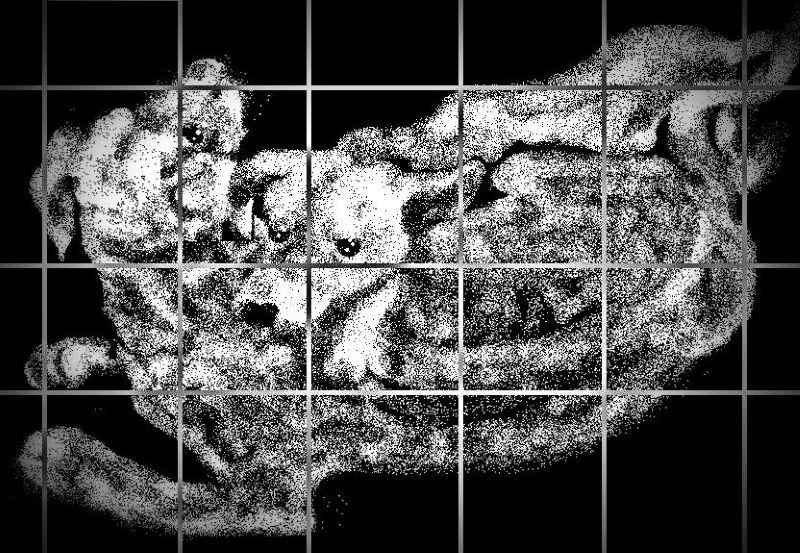Живут собаки в гаражах