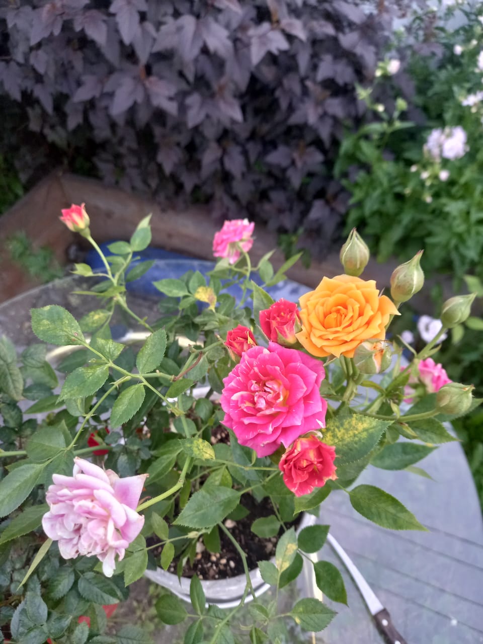 После долгой разлуки...