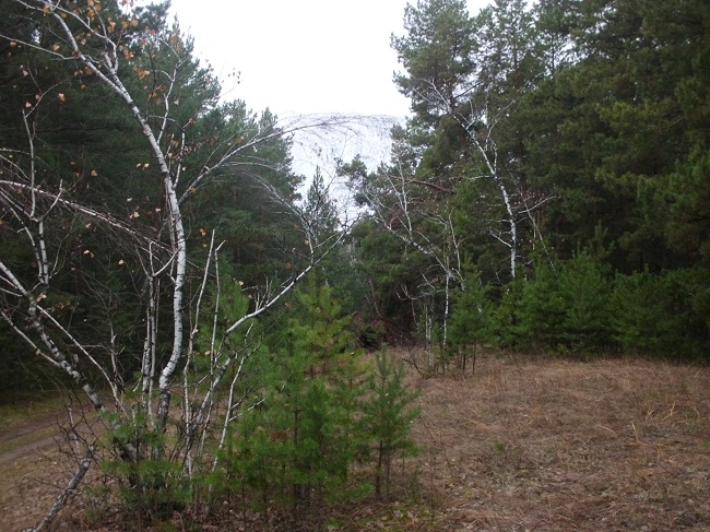 Картины ноября