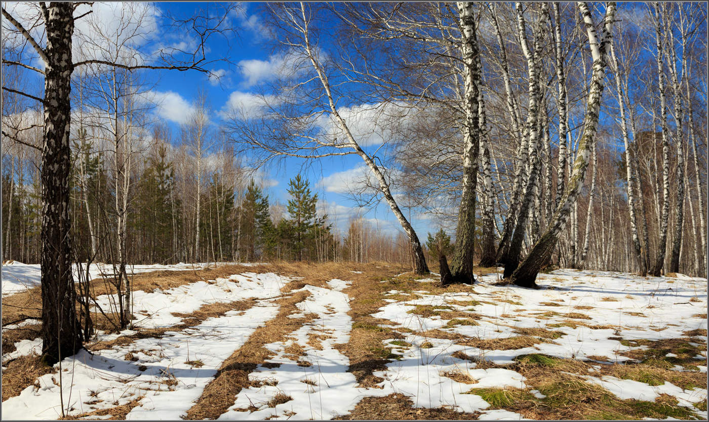 Пятнадцатое ноября 2024 г