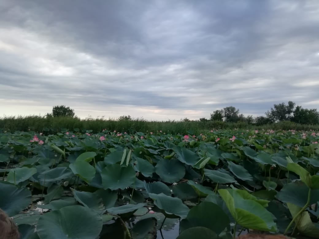 Конец эпохи