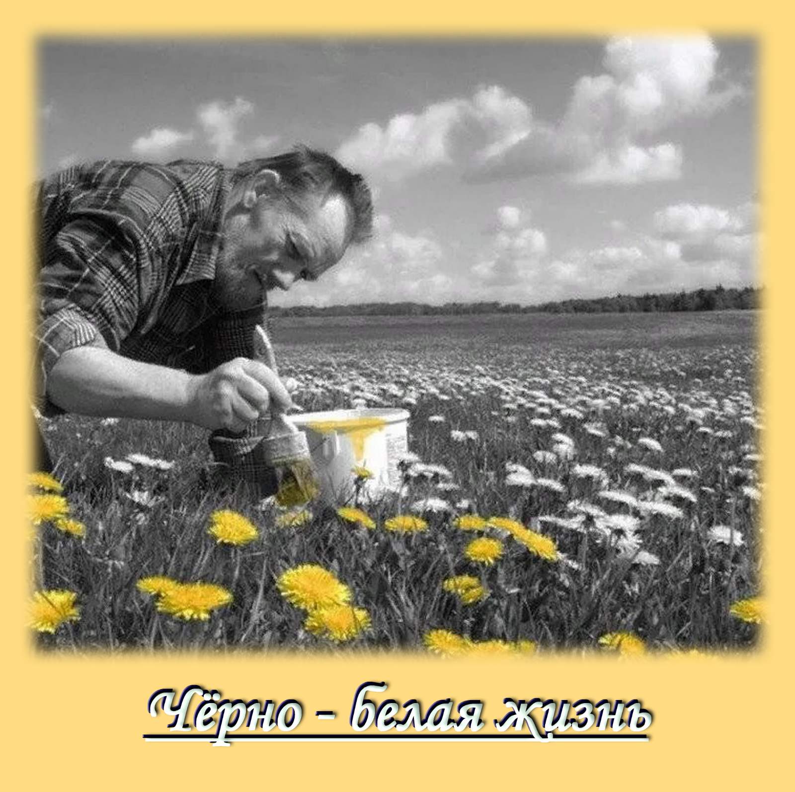 Чёрно- белая жизнь