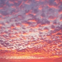 Родился ярко этот день