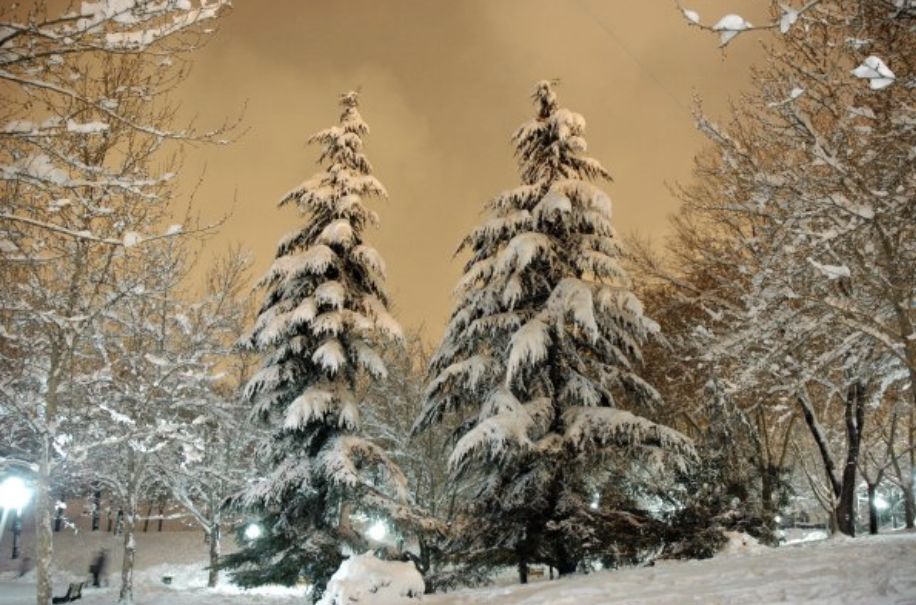 И как- то незаметно выпал снег