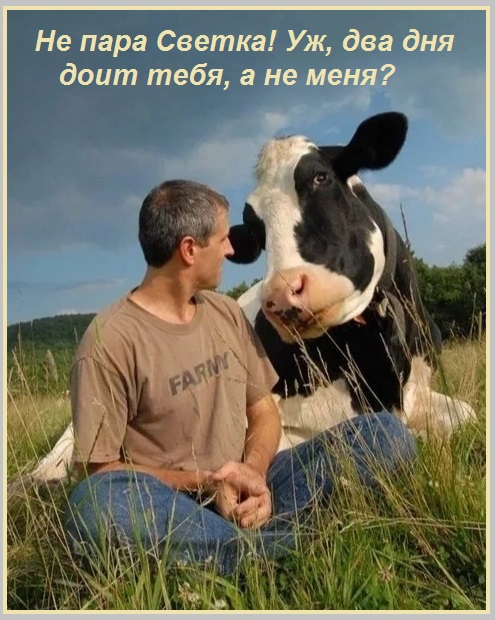 Нужна хозяйка, прежде, в доме!