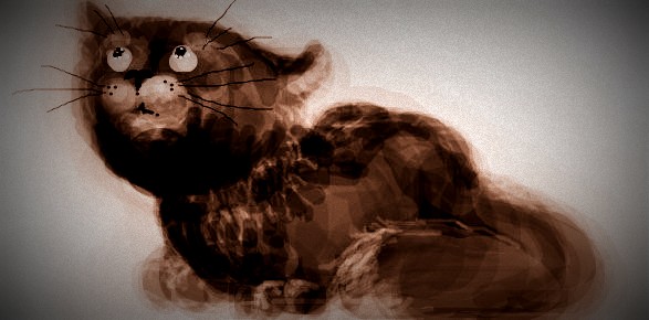 Мысли бездомной кошки