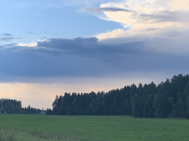 Мой мир живой