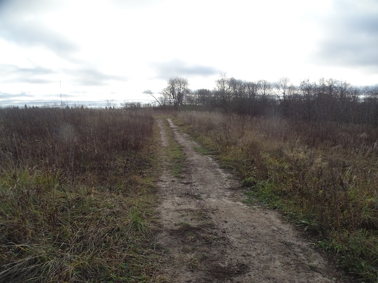 2024г. Не жду последнего ответа. 1150