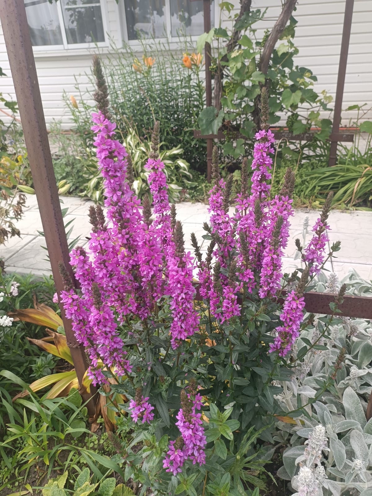 Наступила осень...