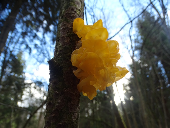 2024г. Я не могу к Вам, Бог не может. 1151