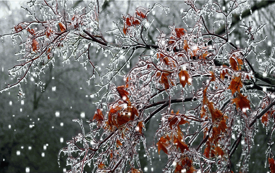 Ноябрьский вечер