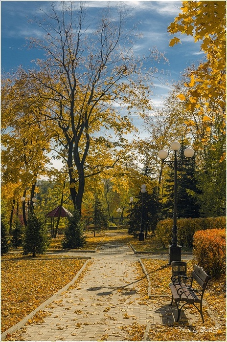 Было ли, не было?