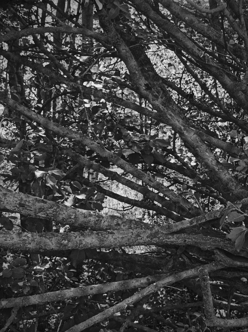 Страшный суд