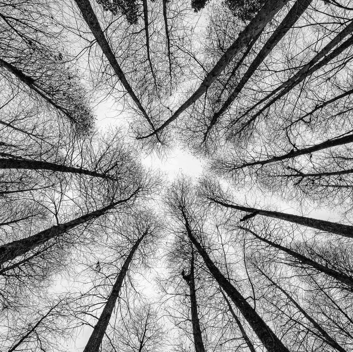 Невольно наблюдаю