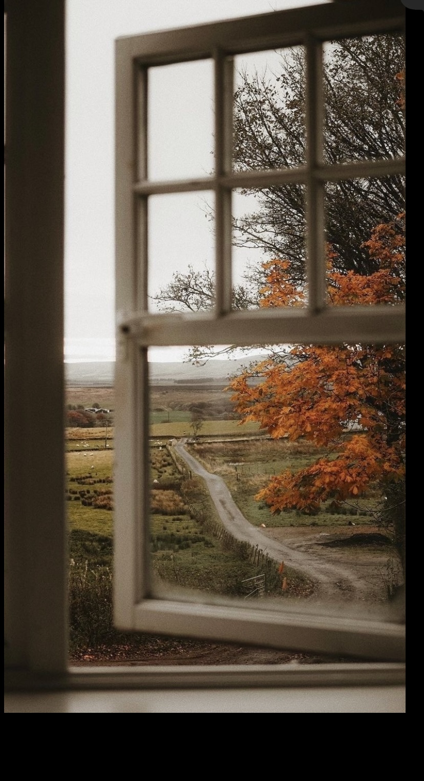 Симфония осенних красок