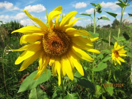 Домик у реки