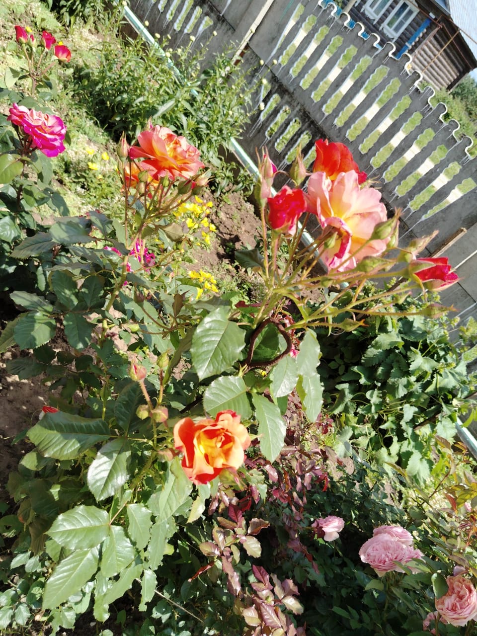 Твои года бегут...