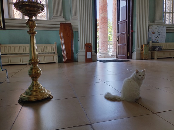 2024г. Под сводом яхромского храма. 1162