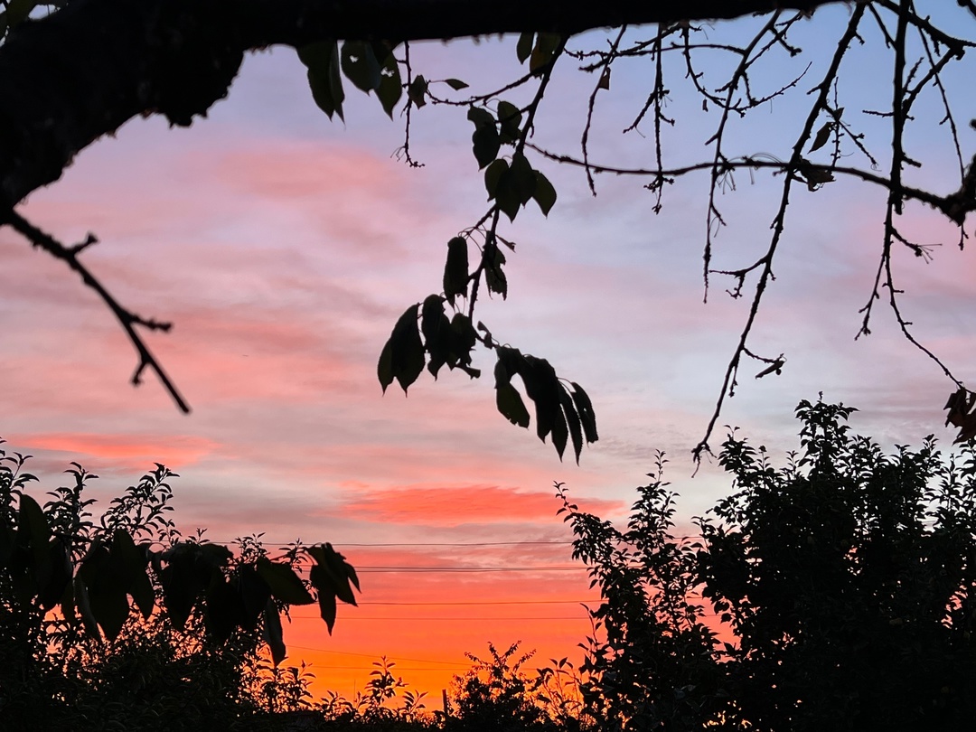 Рвётся утро