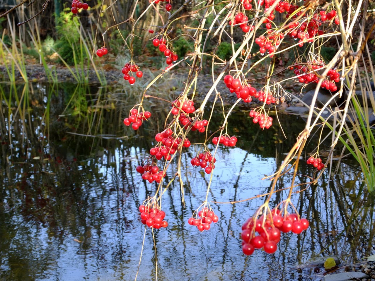 В последние дни ноября