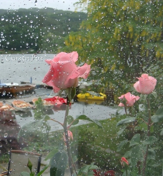 Междуречье