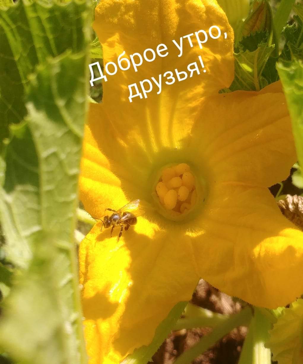 Доброе утро!