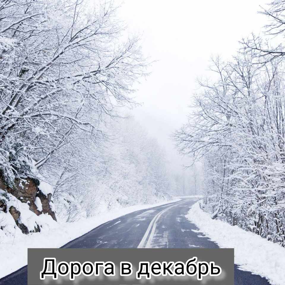 Дорога в декабрь