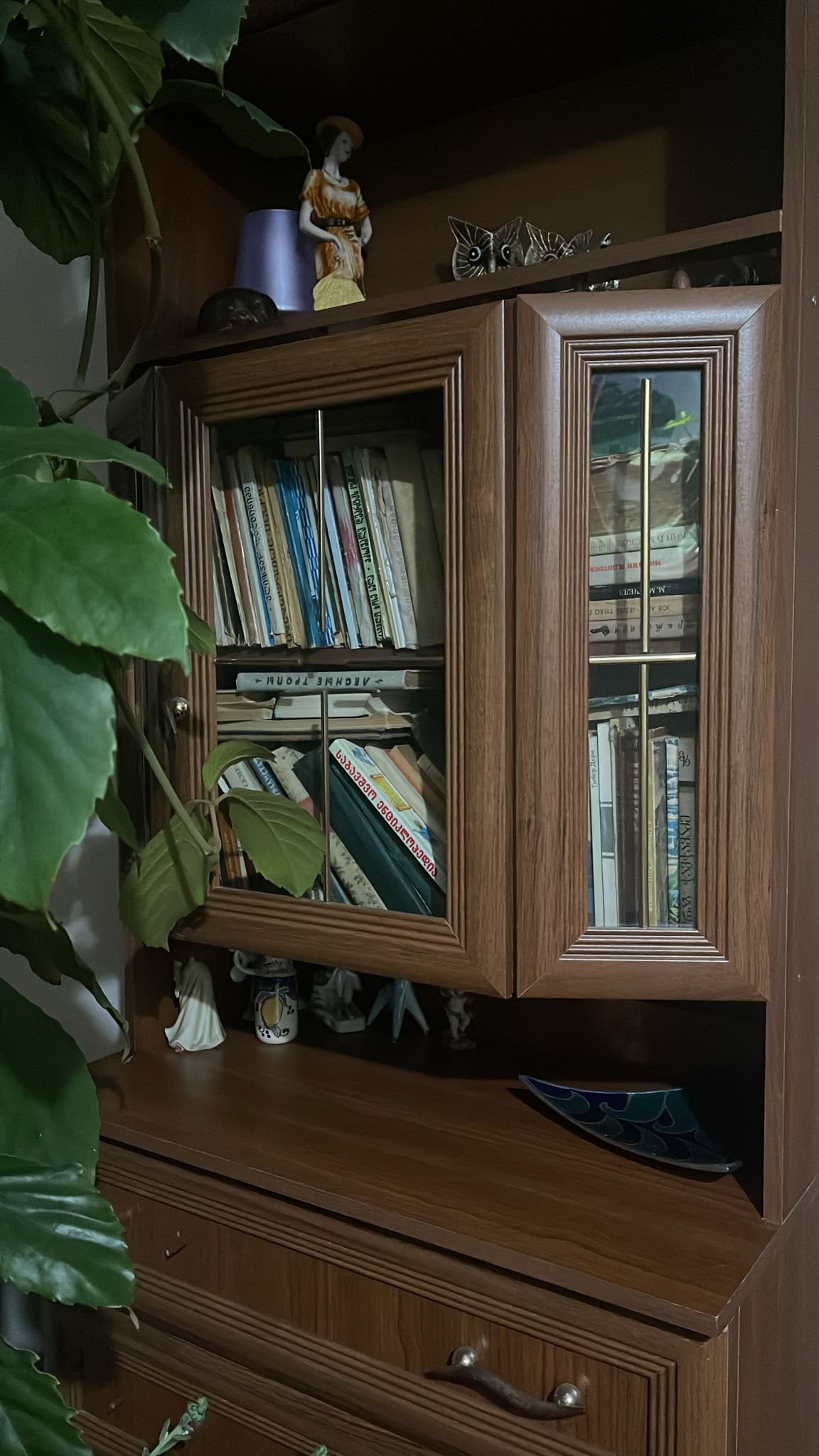 Книжный шкаф