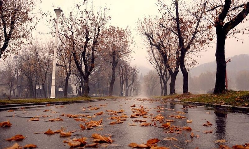 Дожди в ноябре