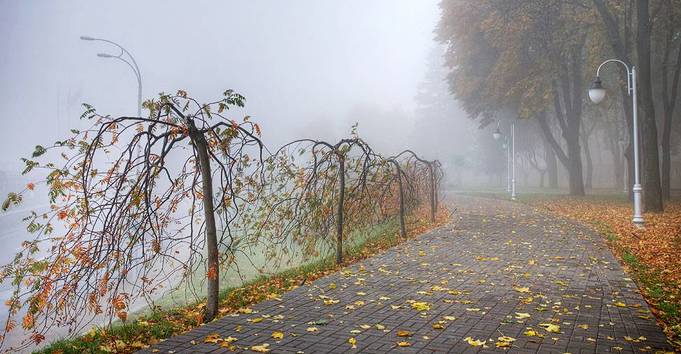 С нами осень простилась...