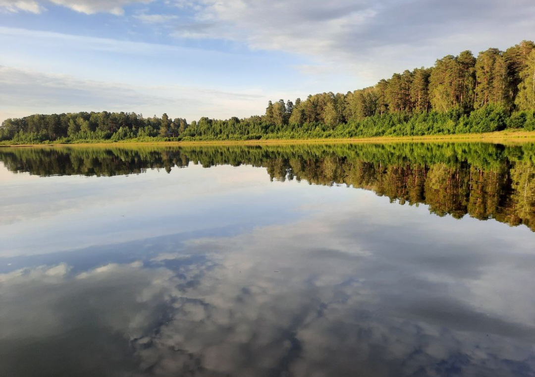 Благодарность